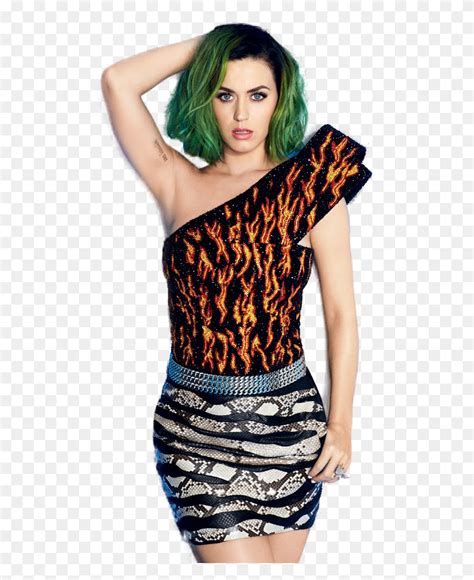 Katy Perry Hair Wig Person Hd Png Download Flyclipart