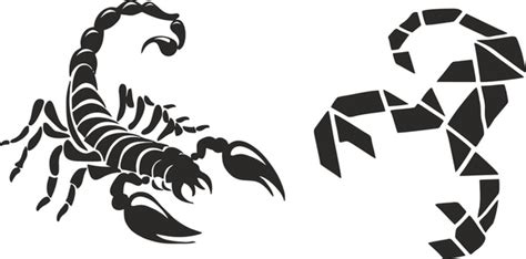 Black Scorpion Royalty Free Images Stock Photos Pictures