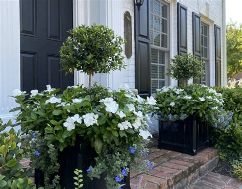 Classic Blue & White Summer Planter Recipe — Contained Creations