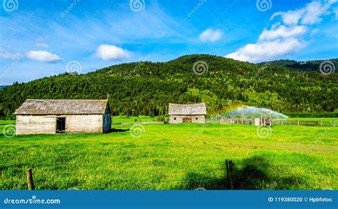 Old Barns Along The Heffley Louis Creek Road In BC Canada Stock Photo