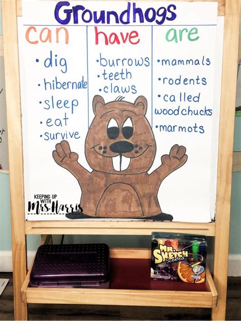 Celebrating Groundhog Day In The Elementary Classroom Keeping Up With Mrs Harris Groundhog