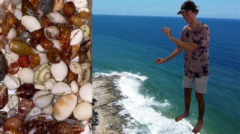 How To Find Micro Seashells In Australia Jackpot With Fans Shelling Australian Coastline