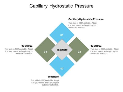 Capillary Hydrostatic Pressure Ppt Powerpoint Presentation Professional File Formats Cpb ...