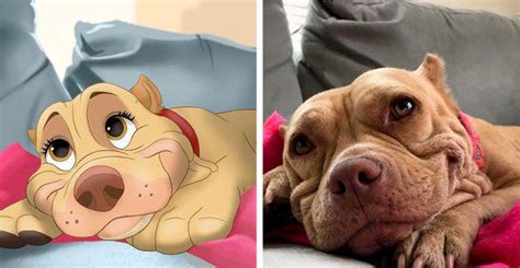 Artista Transforma Animais Da Vida Real Em Fofos Desenhos Da Disney