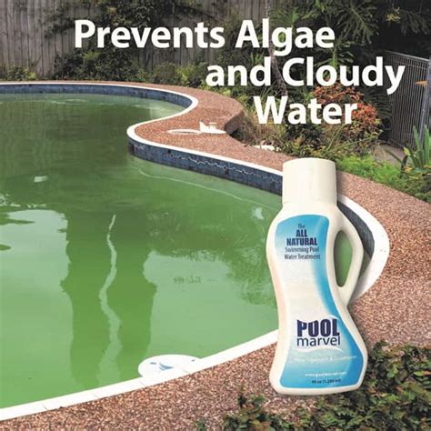 Is Swimming Pool Algae Dangerous? Pool Algae Types & Safety