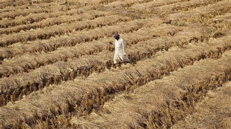 Three Days Into Retreat Of Monsoon India Left With Driest September In