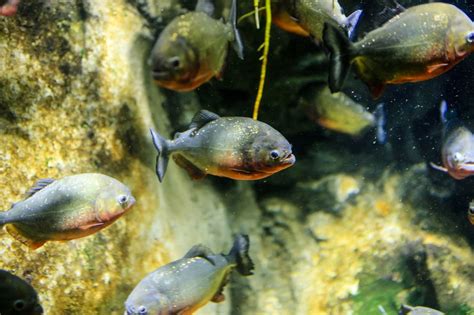 Cassie Says She Wasn T Sober The First Time She Had Sex With Diddy And Testifies About What