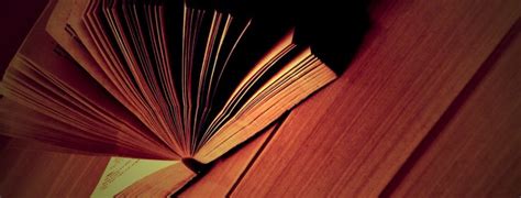 ТОП-14 книг бестселлеров: список лучших, рейтинг