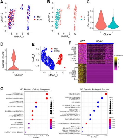 Unsupervised Clustering Analysis Of Immune Cells In Pdac Primary Tumors