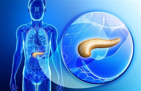 Cos è il tumore al Pancreas Cause sintomi diagnosi e trattamento