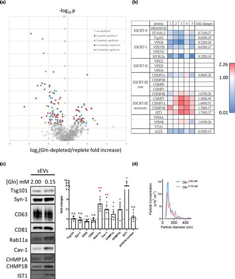 Accessory Escrtiii Proteins Are Conserved And Selective Regulators Of