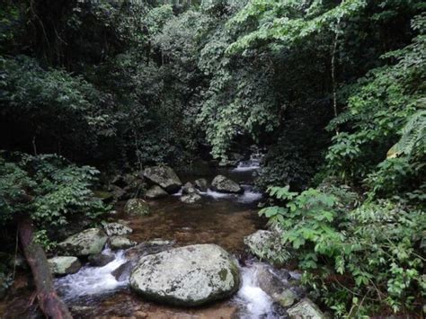 Roteiro De Fim De Semana Em Ilhabela Roteiros Ilhabela Br