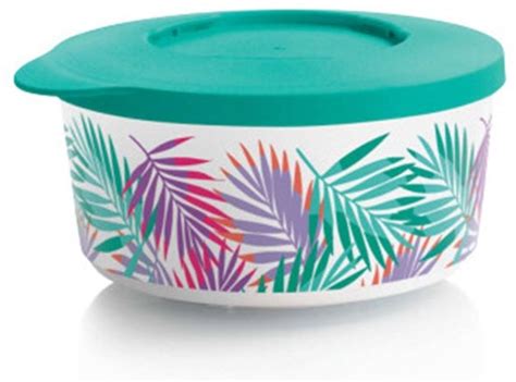 Купить Tupperware контейнер РП063, пластик в кредит в Алматы – Kaspi ...