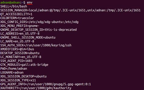 How To Echo Environment Variable