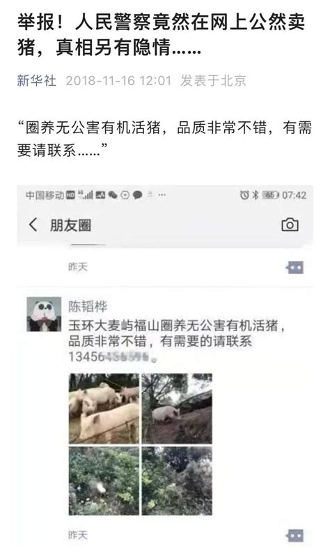 5年前，在网上公然卖猪的警察，又和猪杠上了猪仔隧道陈韬桦