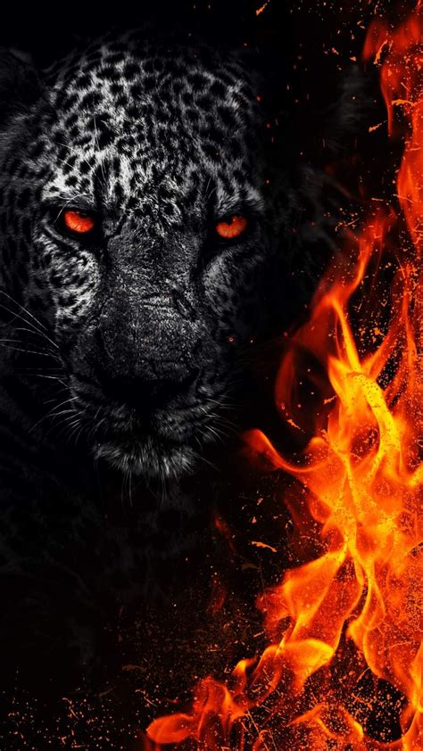 Panther Wallpaper Black Tiger - Parketis