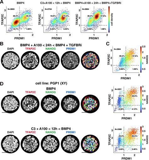 Figures And Data In Efficient Differentiation Of Human Primordial Germ