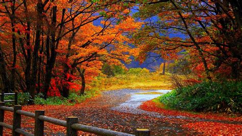 Fall Scene Wallpaper (35+ images)