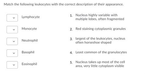 Solved Match The Following Leukocytes With The Correct Chegg