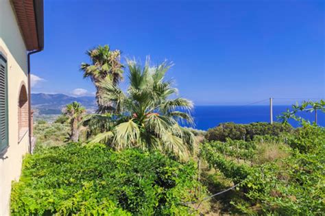 Villa Claudia A Casal Velino Ville E Appartamenti In Affitto Su