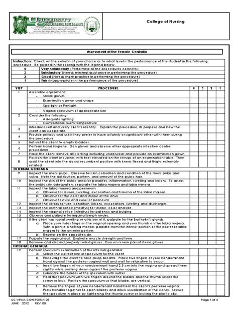 Assessment Of The Female Genitalia And Rectum Pdf Vagina Labia