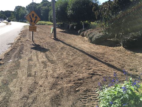 Installing A 100 Organic Clover Lawn Wakeman S White Birch Nursery