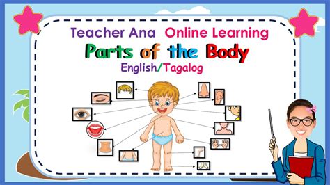 Mga Bahagi Ng Katawanparts Of The Body Ll Englishtagalog Ll Teacher Ana Online Learning Youtube