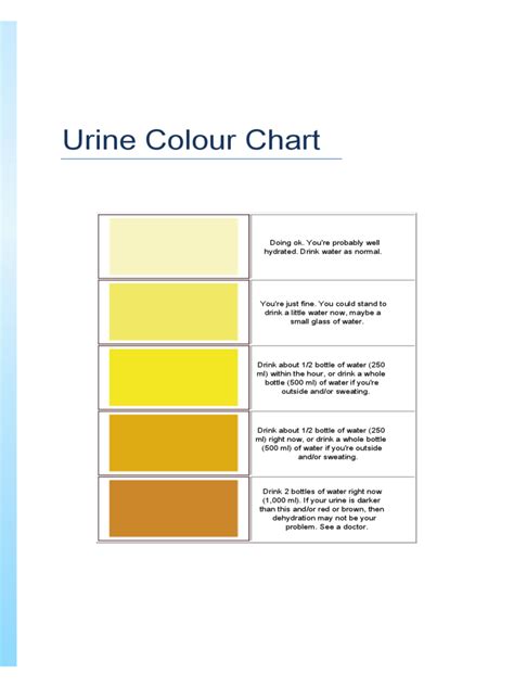 2025 Urine Color Chart Template - Fillable, Printable PDF & Forms ...