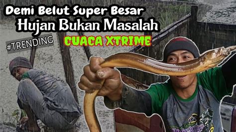 Nekad Mancing Belut Super Besar Di Cuaca Xtrime Big Eel Fishing