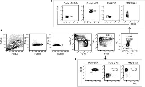 Cell Press Star Protocols