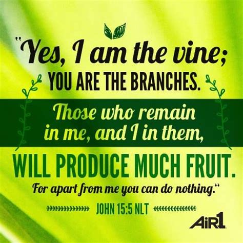 210 Best John 151 5 Esv I Am The True Vine Images On Pinterest