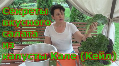 Как использовать капусту КАЛЕ (КЕЙЛ) в свежем виде в салатах - YouTube ...