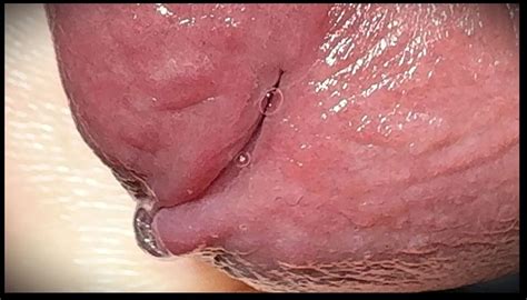 White Cock Is Stroked To Climax Gay Amateur Porn Feat Leonardo Xhamster