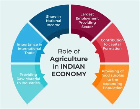 Contribution Of Agriculture In Gdp Check Latest Data As Per