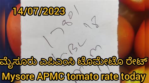 Mysore Apmc Tomato Rate Today