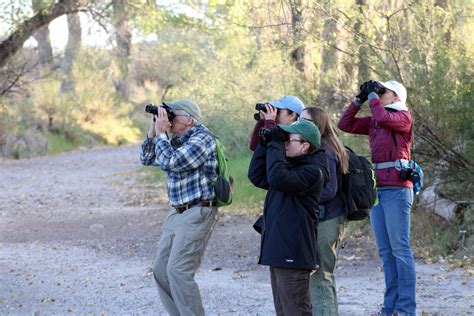 Borderlands Birding Bonanza events scheduled Nov. 14 & Nov. 15 in West ...