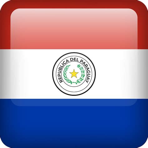 3d Vektor Paraguay Flaggen Hochglanzknopf Paraguayisches Nationalwappen