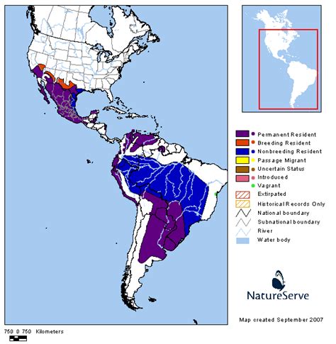 Americas Range Map Vermilion Flycatcher