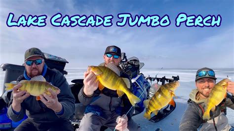 Lake Cascade Idaho Ice Fishing For Jumbo Perch YouTube