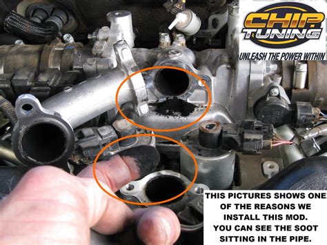 EGR Blanking Info Chip Tuning Australia