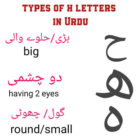 Urdu Letters Learning Studying Letter Teaching Lettering