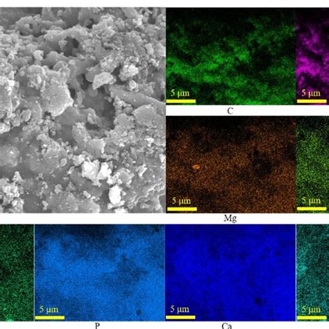 Surface Morphology Magnified By 10 000 And Elemental Mapping Images