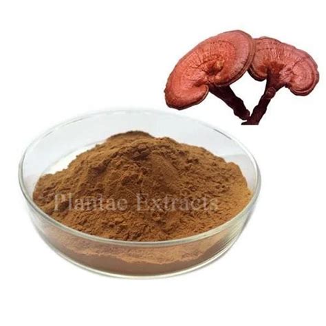 Reishi Mushroom Extract Plantae Extracts