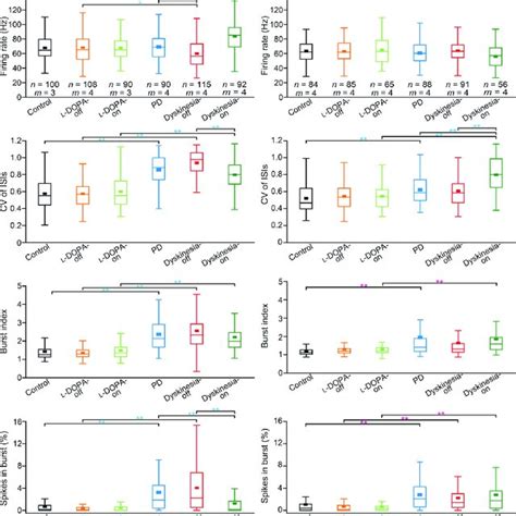 Spontaneous Firing Patterns Of Snr Neurons A Digitized Spikes And