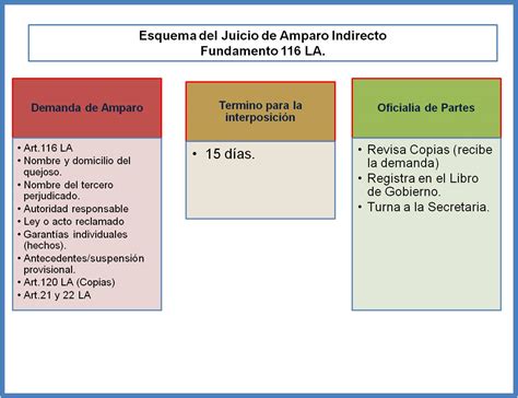 Diferencias Entre El Juicio De Amparo Indirecto Y El Juicio De Amparo Hot Sex Picture