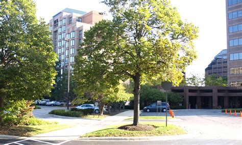 O'Hare Economy Parking Lot E: Rates, Shuttle Info, and Availability 24