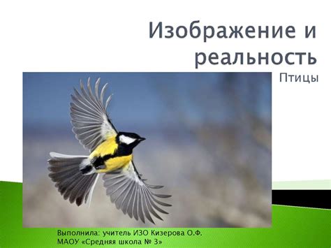 Птицы. Изображение и реальность - презентация онлайн