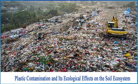 How Do Plastics Affect The Soil Ecosystem Netsol Water