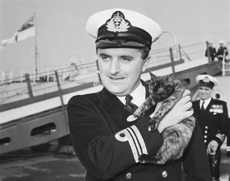 Seafurrers The Remarkable History Of The Ships Cat