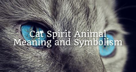 Cat Spirit Animal Meaning and Symbolism - Spirit Animal Encyclopedia